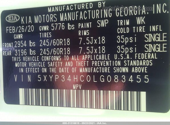 5XYP34HC0LG083455 2020 KIA TELLURIDE Белый Вид подкапотного пространства