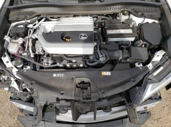 JTHX3JBH4M2039603 2021 LEXUS UX White Widok wnętrza z przodu