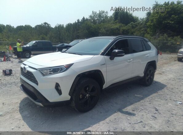 JTMEWRFV8LJ041213 2020 TOYOTA RAV4 Белый Передняя левая четверть