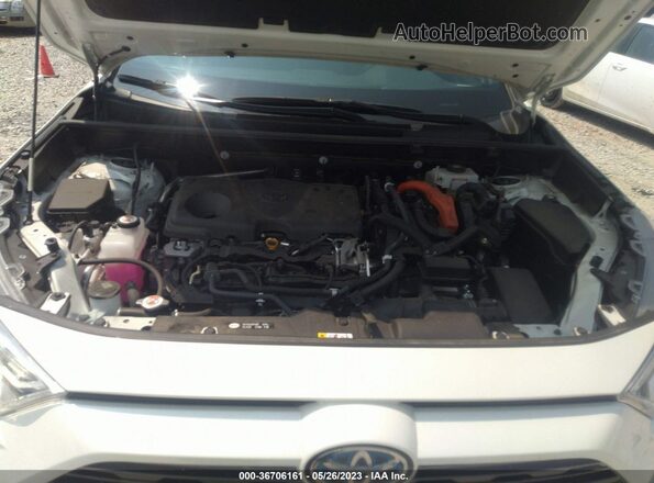JTMEWRFV8LJ041213 2020 TOYOTA RAV4 Белый Вид сзади