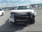 2019 Chevrolet Tahoe Commercial Fleet White vin: 1GNLCDEC5KR164476