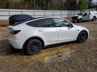 2023 Tesla Model Y White vin: 7SAYGDEF4PF699800