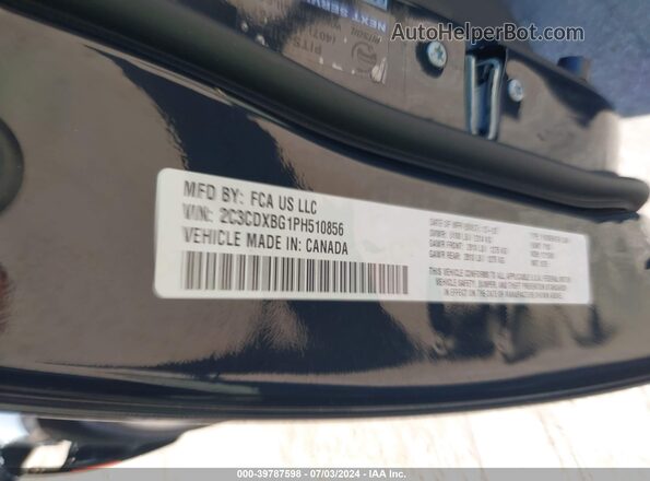 2C3CDXBG1PH510856 2023 DODGE CHARGER Черный Вид подкапотного пространства