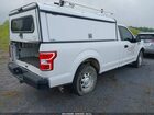 2019 Ford F-150 Xl White vin: 1FTMF1CB0KKC17171