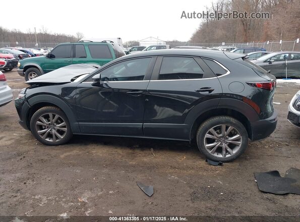 3MVDMABL7MM237766 2021 MAZDA CX-30 Черный Панорамный вид салона 360°