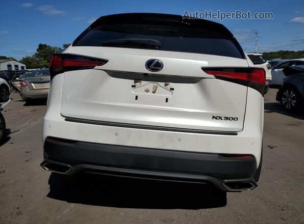 JTJGARDZ6L5016409 2020 LEXUS NX White Հետևի տեսք