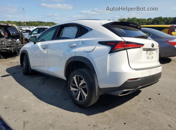 JTJGARDZ6L5016409 2020 LEXUS NX White Հետևի ձախ