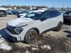 2025 Kia Sportage X-pro Gray vin: 5XYK7CDF6SG249498