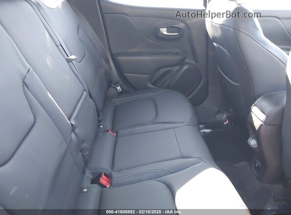 ZACNJBB19LPM04933 2020 JEEP RENEGADE Синий Вид наклейки с VIN-кодом