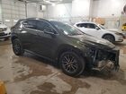 2023 Lexus Nx 350 Green vin: 2T2GGCEZXPC023073