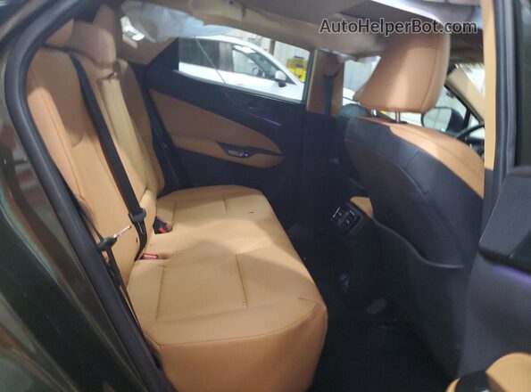2T2GGCEZXPC023073 2023 LEXUS NX Green Вид задньої частини салону