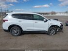 2020 Hyundai Santa Fe Sel White vin: 5NMS33AD2LH225060