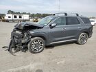 2023 Hyundai Palisade Limited Gray vin: KM8R5DGE3PU511606