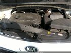2020 Kia Sportage Lx Белый vin: KNDPM3AC5L7757517