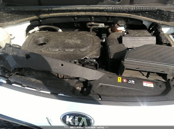 KNDPM3AC5L7757517 2020 KIA SPORTAGE Белый Вид сзади