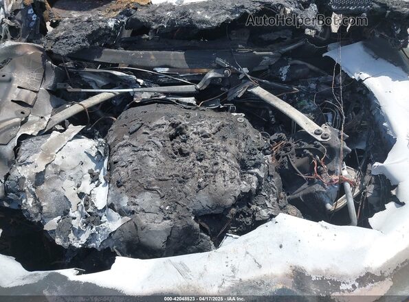 SADCT2EXXSA744616 2025 JAGUAR F-PACE White Widok z tyłu