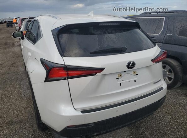 JTJDARBZ6L5001429 2020 LEXUS NX White Вид ззаду