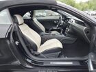 2021 Ford Mustang Ecoboost Premium Black vin: 1FATP8UH7M5122537 2021 Ford Mustang Ecoboost Premium Black vin: 1FATP8UH7M5122537