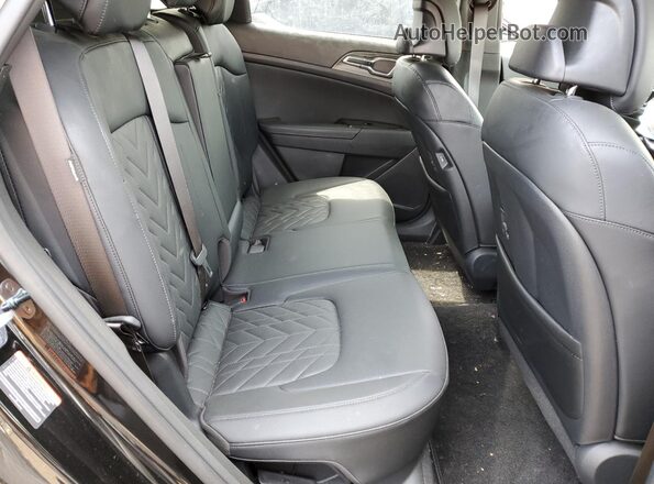 KNDPZDDH7R7155824 2024 KIA SPORTAGE Черный Вид задней части салона