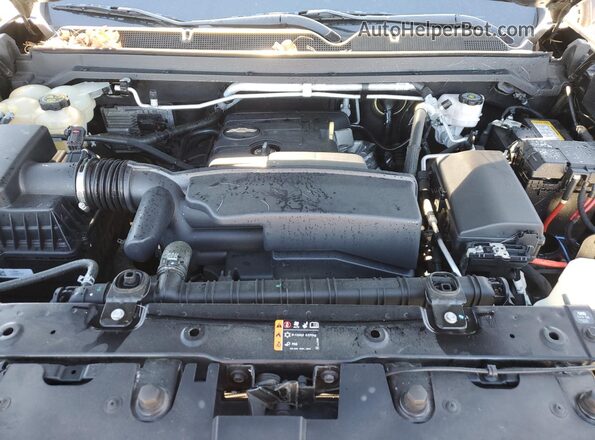 1GCHSCEA2M1235015 2021 CHEVROLET COLORADO Black Widok wnętrza z tyłu