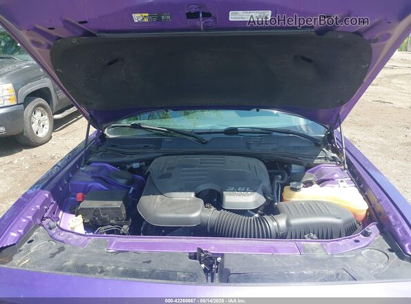 2C3CDZAGXJH310482 2018 DODGE CHALLENGER Фиолетовый Вид сзади