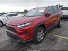2023 Toyota Rav4 Xle Red vin: 2T3W1RFV4PW267615
