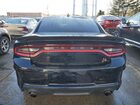 2021 Dodge Charger Scat Pack Черный vin: 2C3CDXGJXMH515263