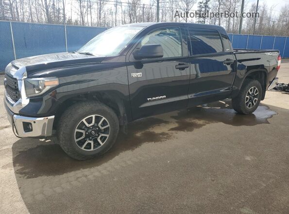 5TFDY5F13MX996740 2021 TOYOTA TUNDRA Черный Передняя левая четверть
