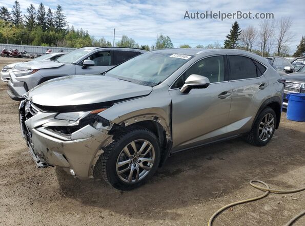 JTJGARDZ3L2224104 2020 LEXUS NX Серебряный Передняя левая четверть