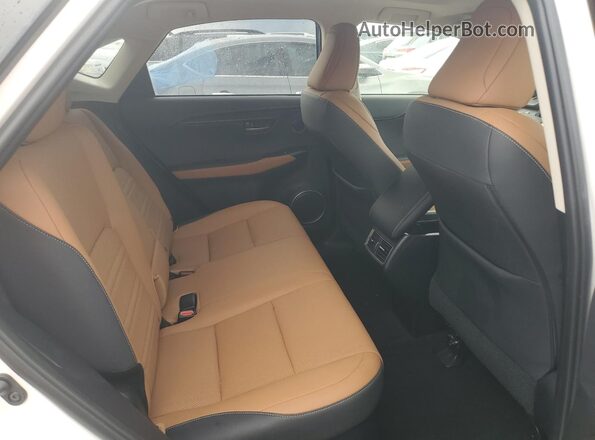 JTJDARBZ6L5001429 2020 LEXUS NX White Вид задньої частини салону