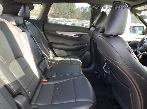 3PCAJ5BB4MF102583 2021 INFINITI QX50 Серый Вид задней части салона