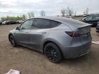 2024 Tesla Model Y Gray vin: 7SAYGDEEXRF181989