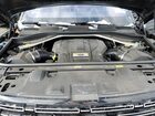 2023 Land Rover Range Rove Gray vin: NJ1639E