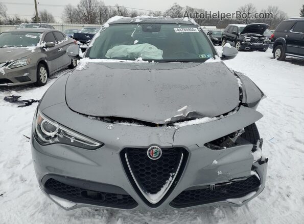 ZASPAKAN4M7D18791 2021 ALFA ROMEO STELVIO Серый Вид спереди