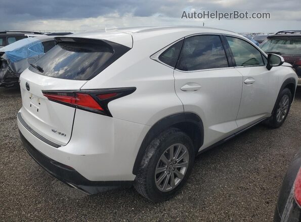 JTJDARBZ6L5001429 2020 LEXUS NX White Задня права чверть