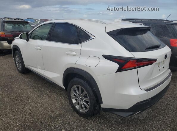 JTJDARBZ6L5001429 2020 LEXUS NX White Задня ліва чверть