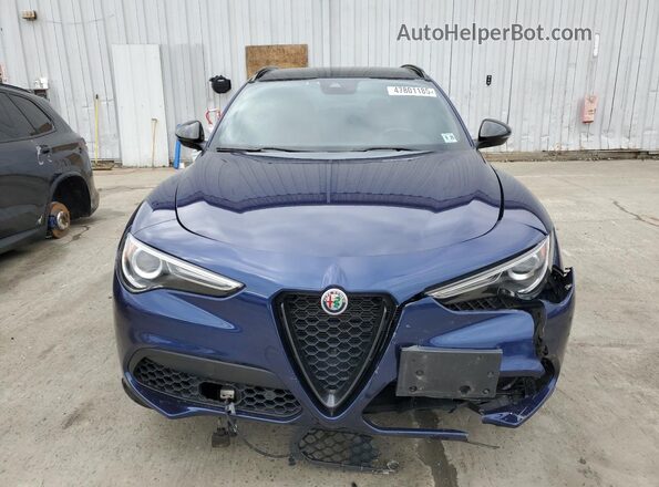 ZASPAKBN0L7C82854 2020 ALFA ROMEO STELVIO Синий Вид спереди