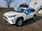 2021 Toyota Rav4 Xle White vin: JTMR6RFV2MD014476