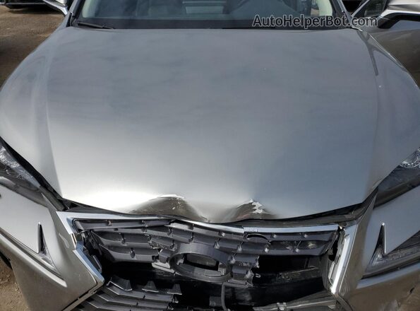 JTJGARDZ3L2224104 2020 LEXUS NX Серебряный Вид подкапотного пространства