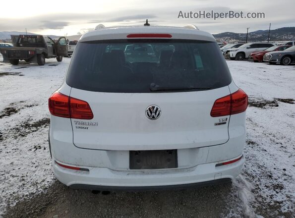 WVGUV7AX0HK008456 2017 VOLKSWAGEN TIGUAN Белый Вид сзади