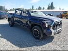 2023 Toyota Tundra Sr5 Dark Blue vin: 5TFLA5DB4PX096252
