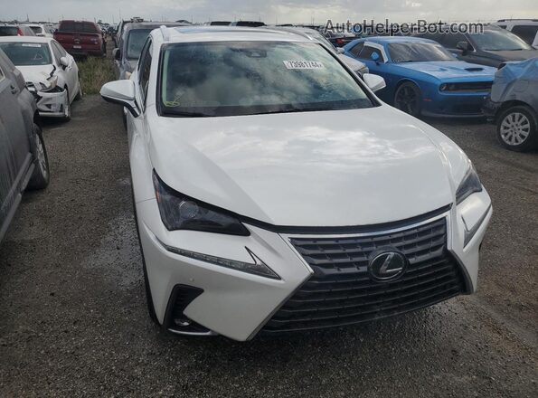 JTJDARBZ6L5001429 2020 LEXUS NX White Вид спереду