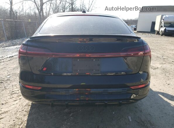 WA1DAAGE9RB025366 2024 AUDI Q8 Угольный Вид сзади