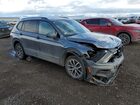 2021 Volkswagen Tiguan S Gray vin: 3VV0B7AX7MM021155