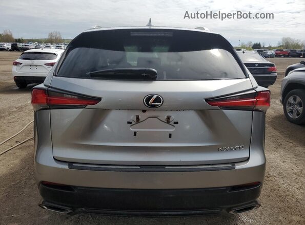 JTJGARDZ3L2224104 2020 LEXUS NX Серебряный Вид сзади