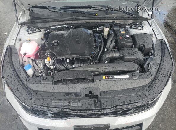 KNAG64J79S5316144 2025 KIA K5 Серый Вид задней части салона
