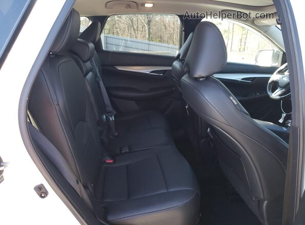 3PCAJ5M39KF144444 2019 INFINITI QX50 Белый Вид задней части салона