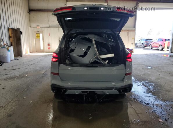 5UX23EU04S9X17313 2025 BMW X5 Серый Вид сзади
