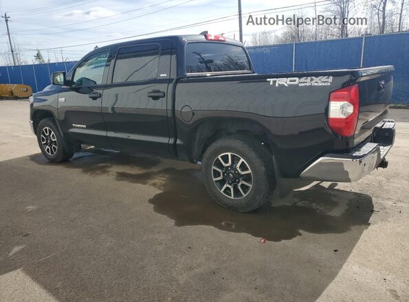 5TFDY5F13MX996740 2021 TOYOTA TUNDRA Черный Задняя левая четверть