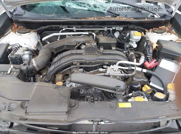 JF2GTAPC7P8213326 2023 SUBARU CROSSTREK Белый Вид сзади